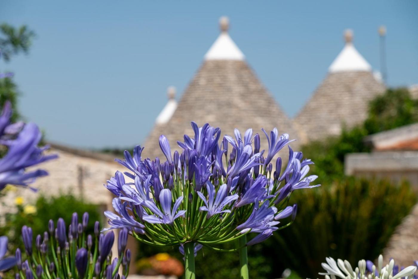 Trulli Oasi Fiorita - Exclusive Apulian Holidays Vila Castellana Grotte Exterior foto